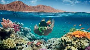 Снорклинг Рас-Мохаммед: рай для любителей моря — подробный и честный гид от местных экспертов.